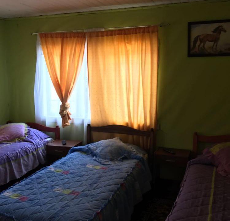 Photo of Others in Osorno