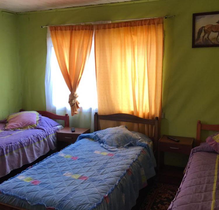 Photo of Others in Osorno