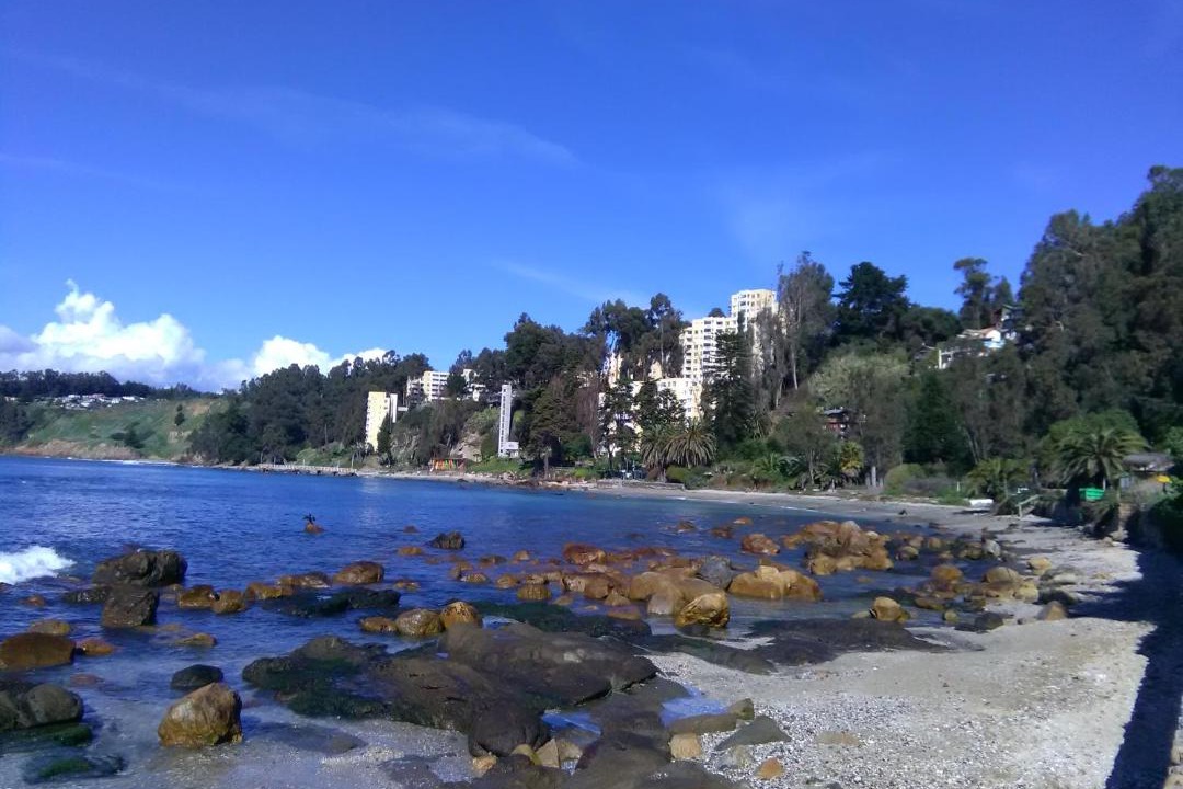 Photo of Outdoor in Caleta Horcon