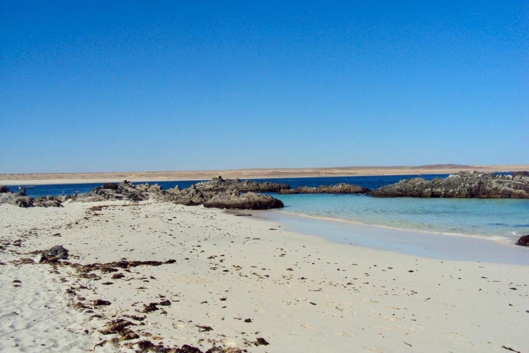 Photo of Others in Bahia Inglesa