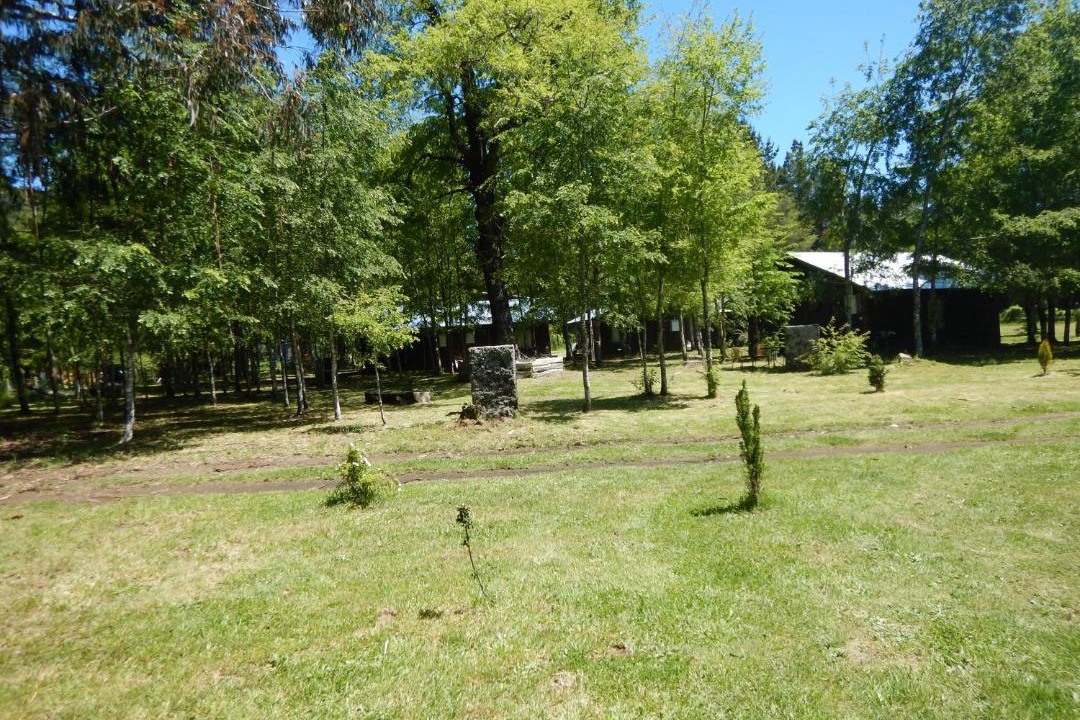Photo of Others in Pucon