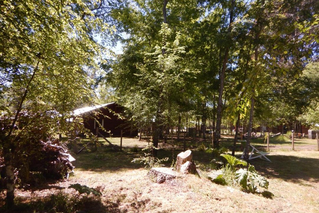 Photo of Others in Pucon