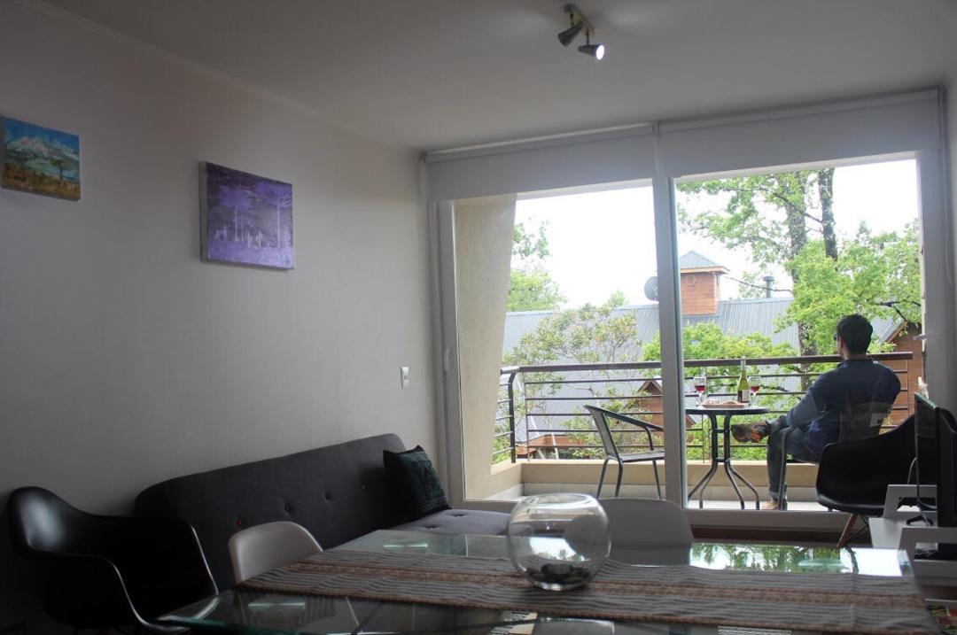 Photo of Livingroom in Pucon