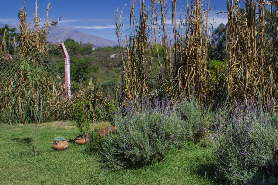 Photo of Others in San Salvador de Jujuy