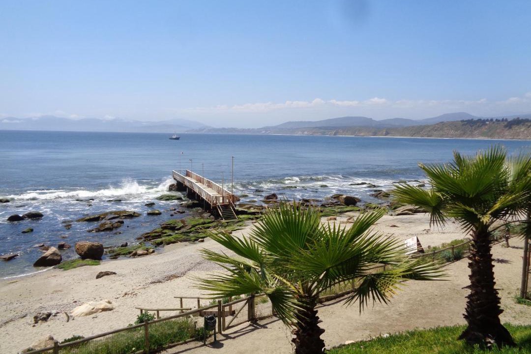 Photo of Outdoor in Caleta Horcon