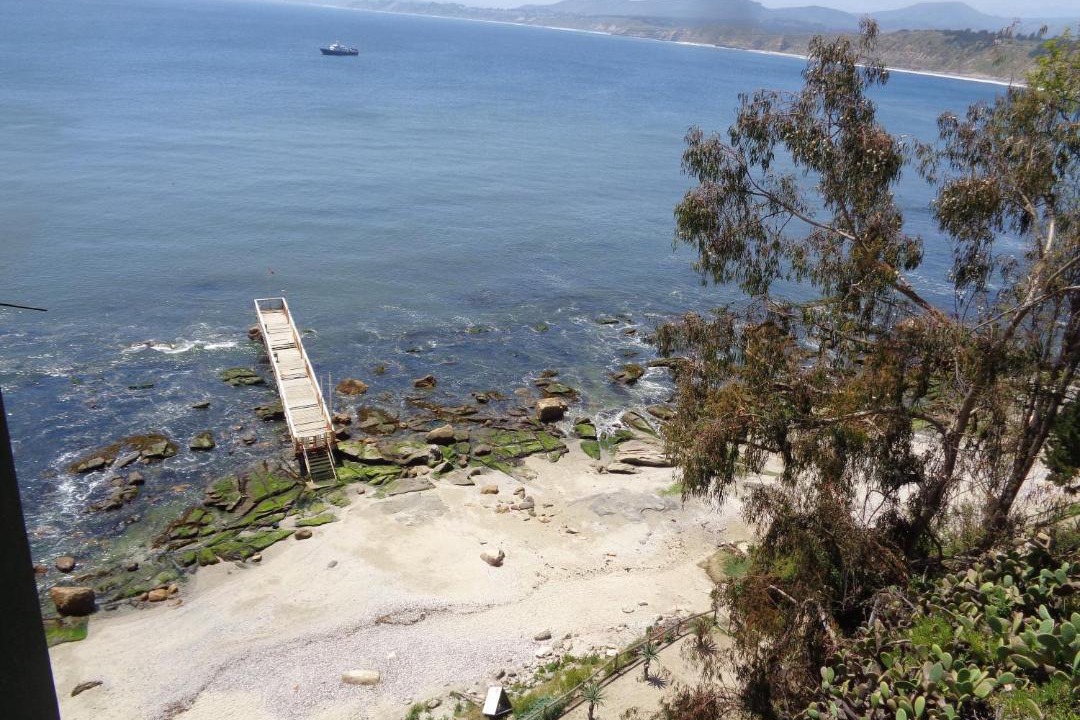 Photo of Outdoor in Caleta Horcon