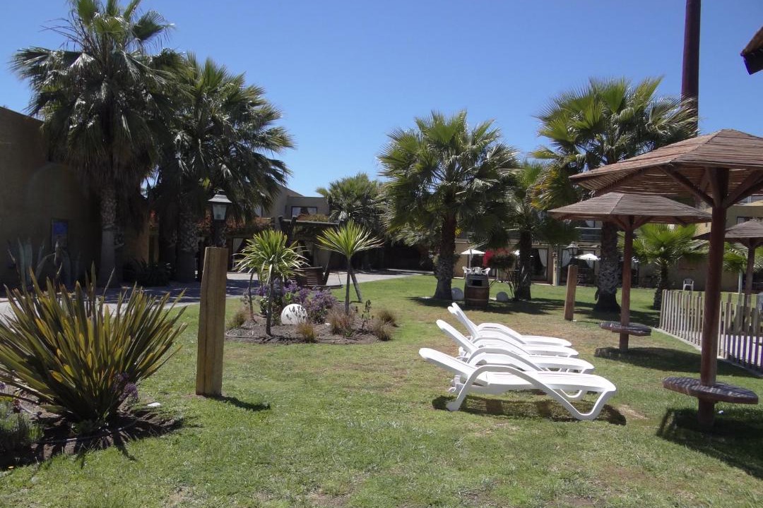 Photo of Others in La Serena