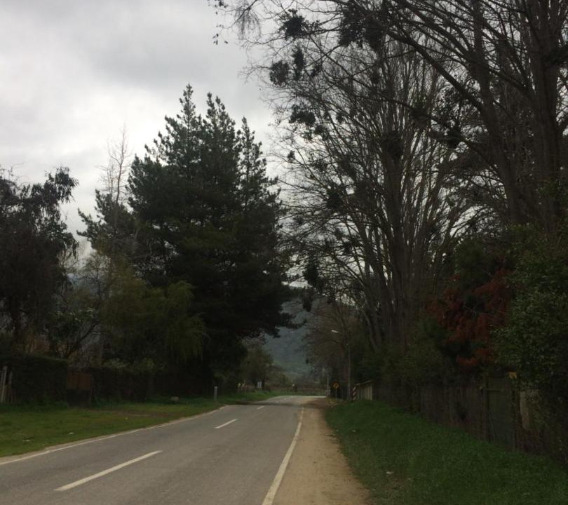 Photo of Others in Valley of Casablanca