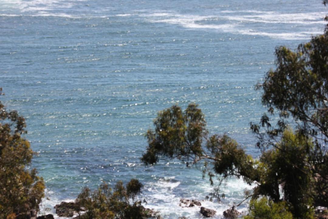 Photo of Others in Maitencillo