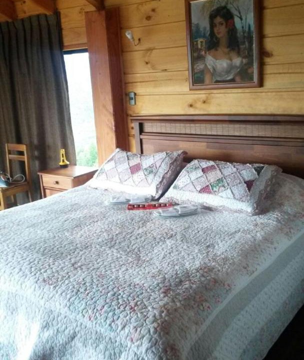 Photo of Bedroom in Pucon