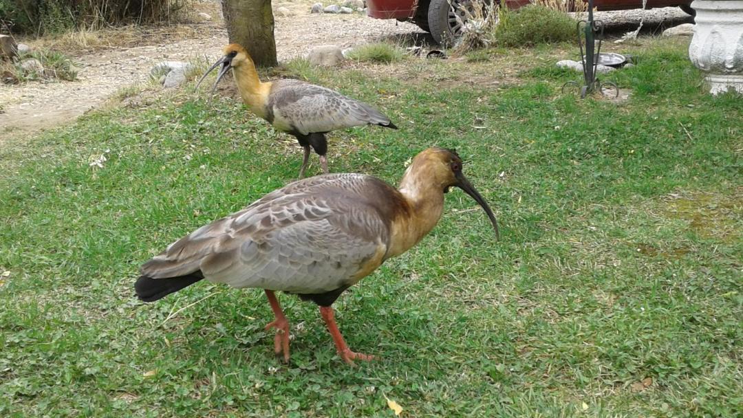 Photo of Others in San Carlos de Bariloche