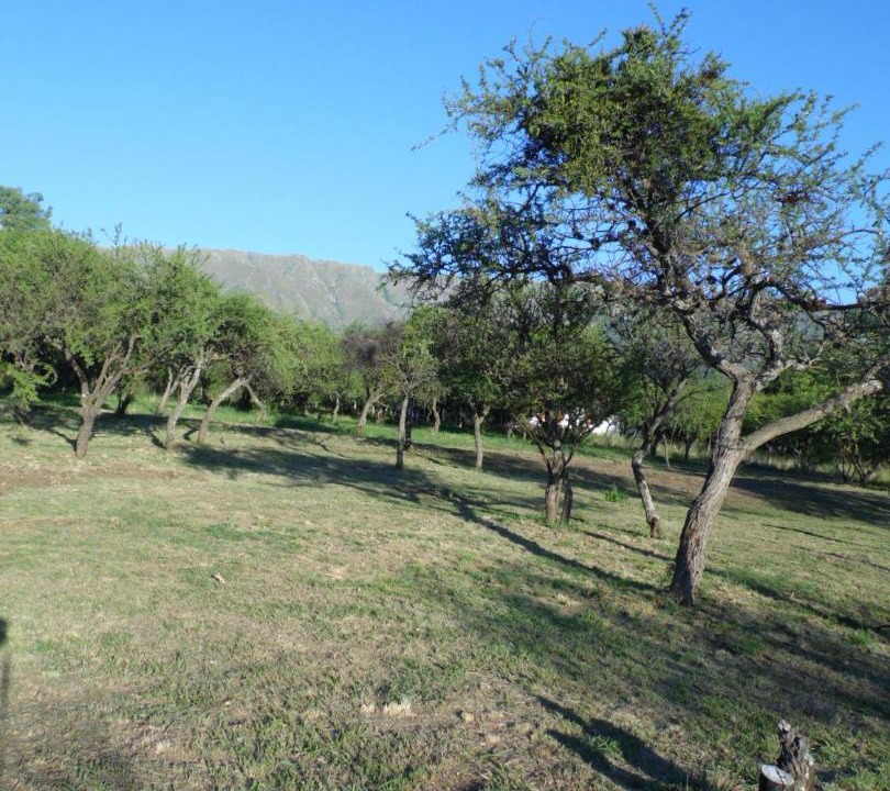Photo of Others in Carpinteria