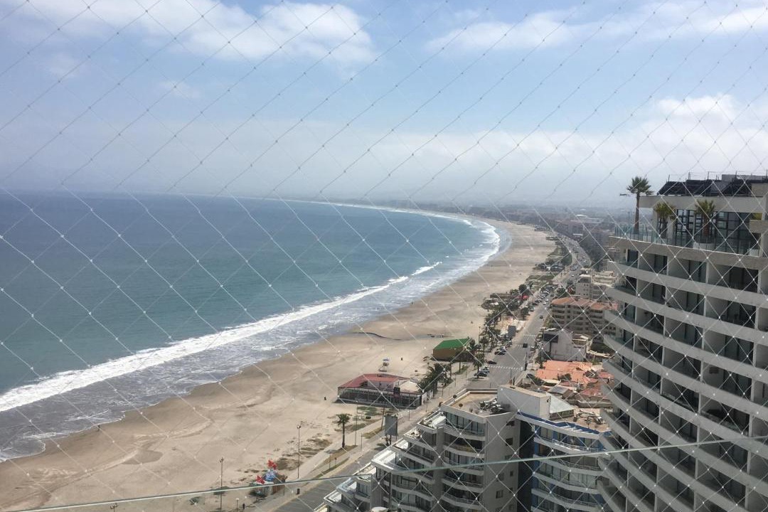 Photo of Others in La Serena