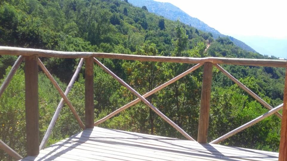 Photo of Patio Balcony in Melocoton
