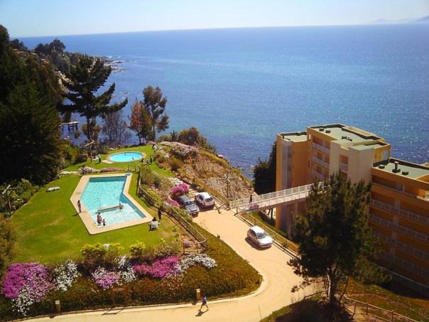 Photo of Others in Caleta Horcon