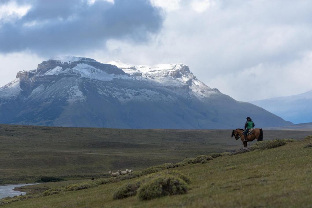 Photo of Others in Torres Del Paine