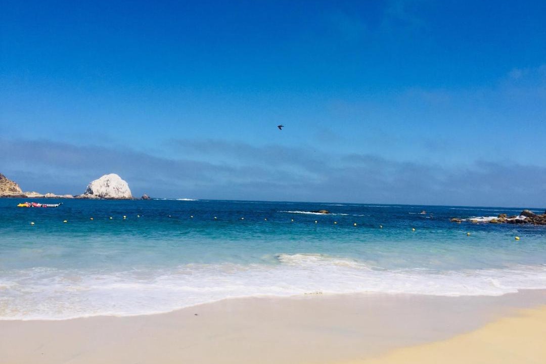 Photo of Others in Algarrobo