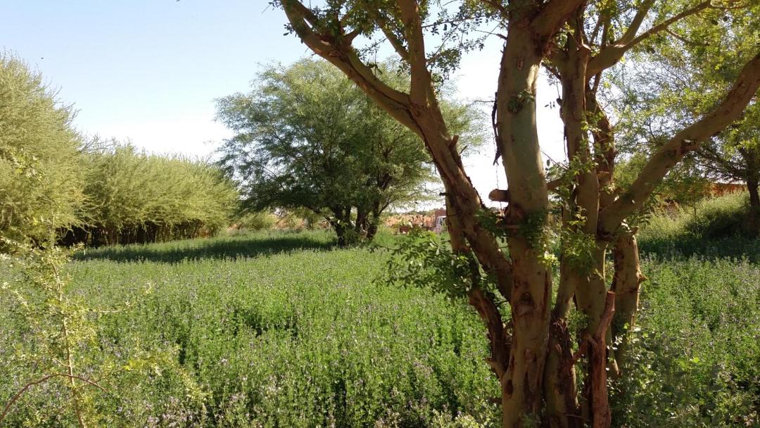 Photo of Outdoor in San Pedro de Atacama