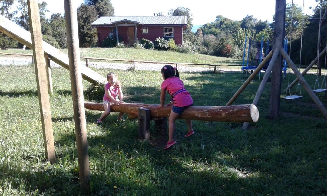 Photo of Others in Puyehue
