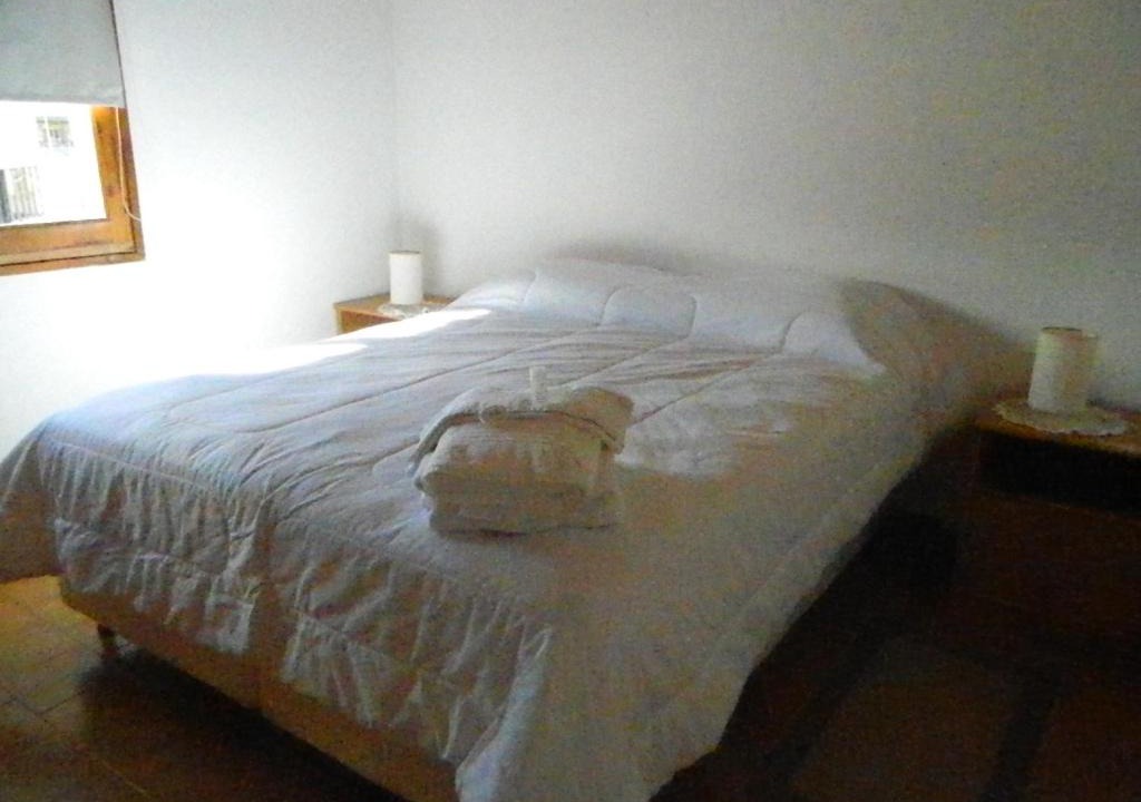 Photo of Others in Copahue