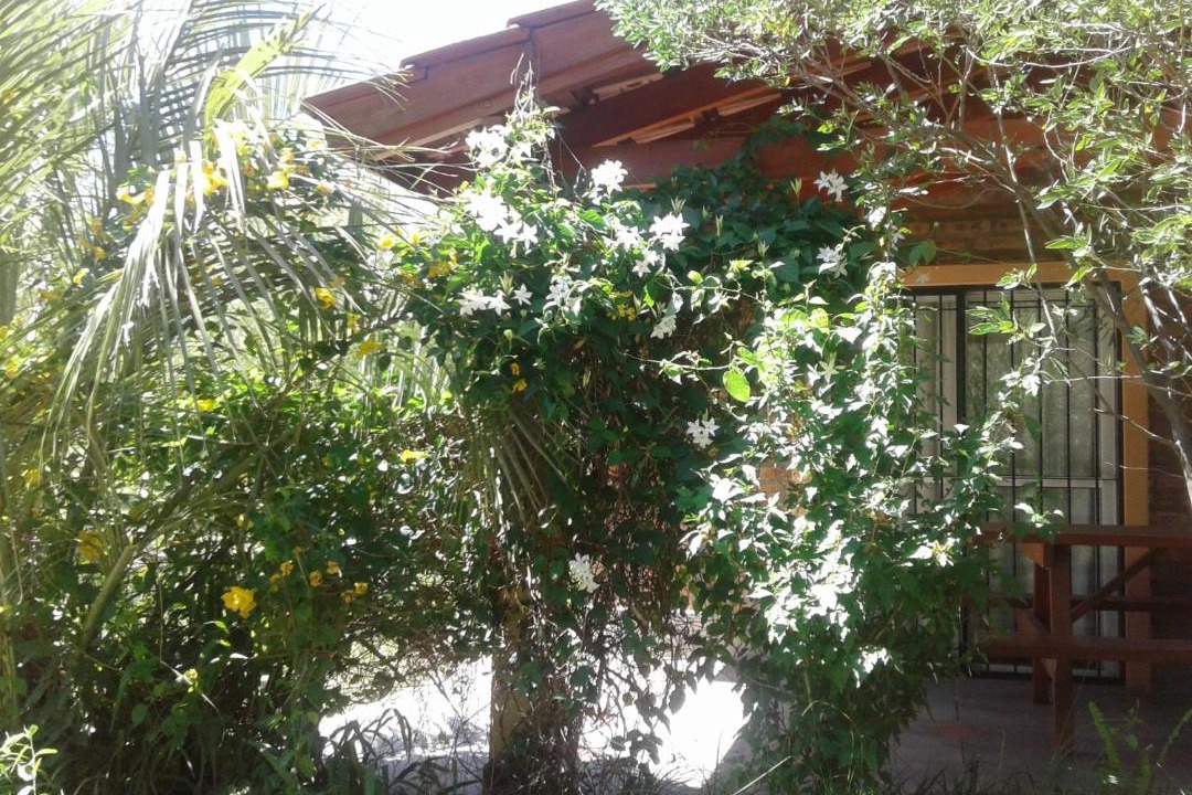 Photo of Others in Cortaderas