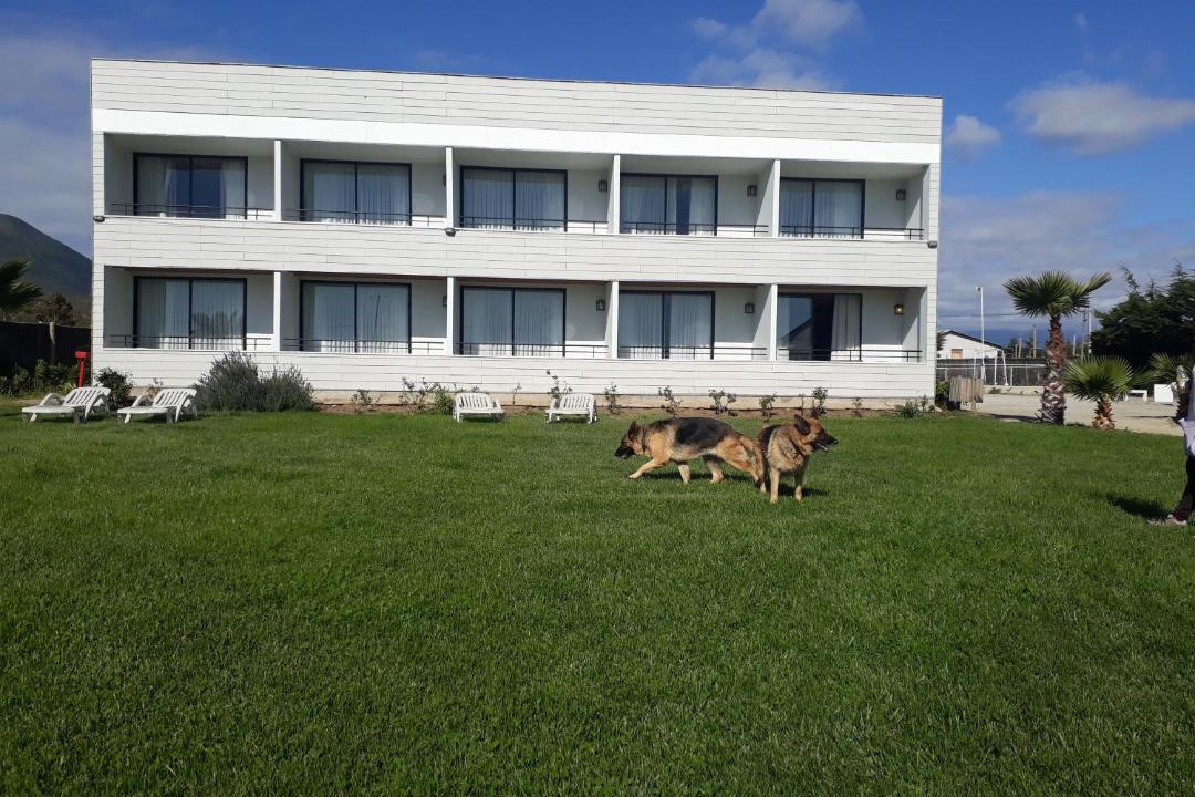 Photo of Others in Pichidangui