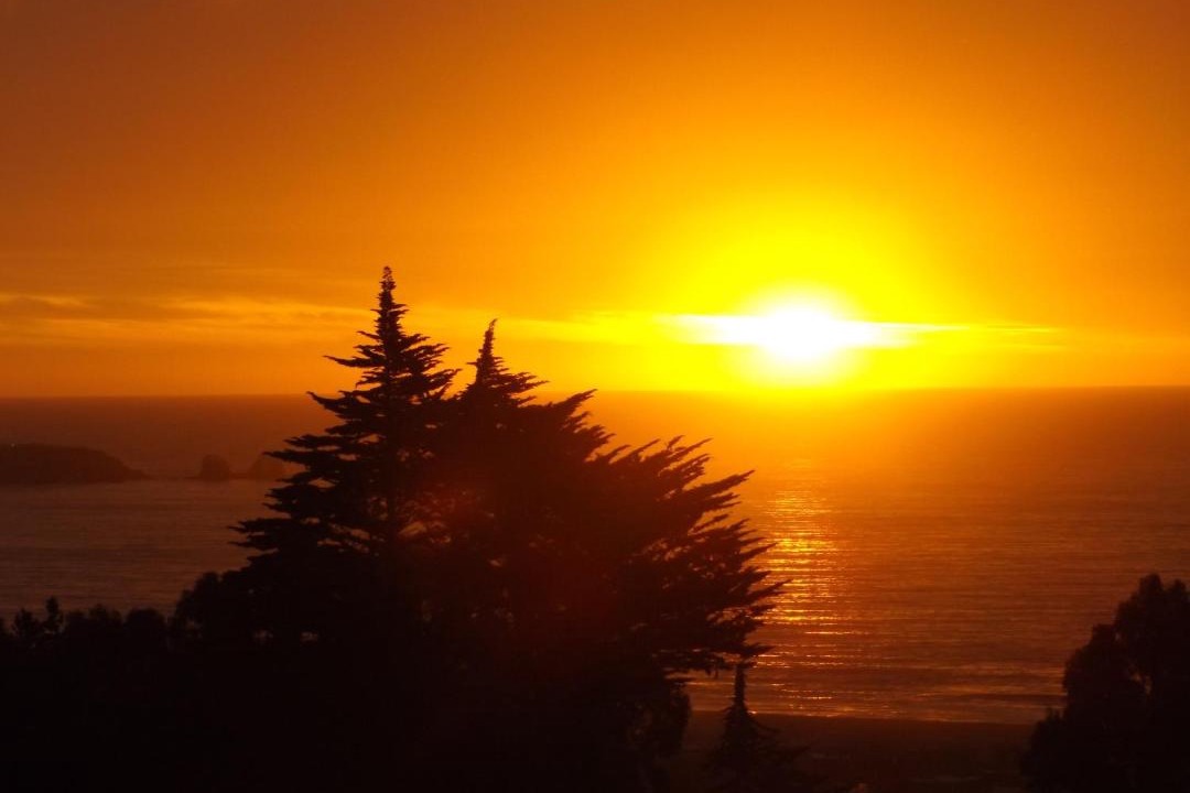 Photo of Others in Pichilemu