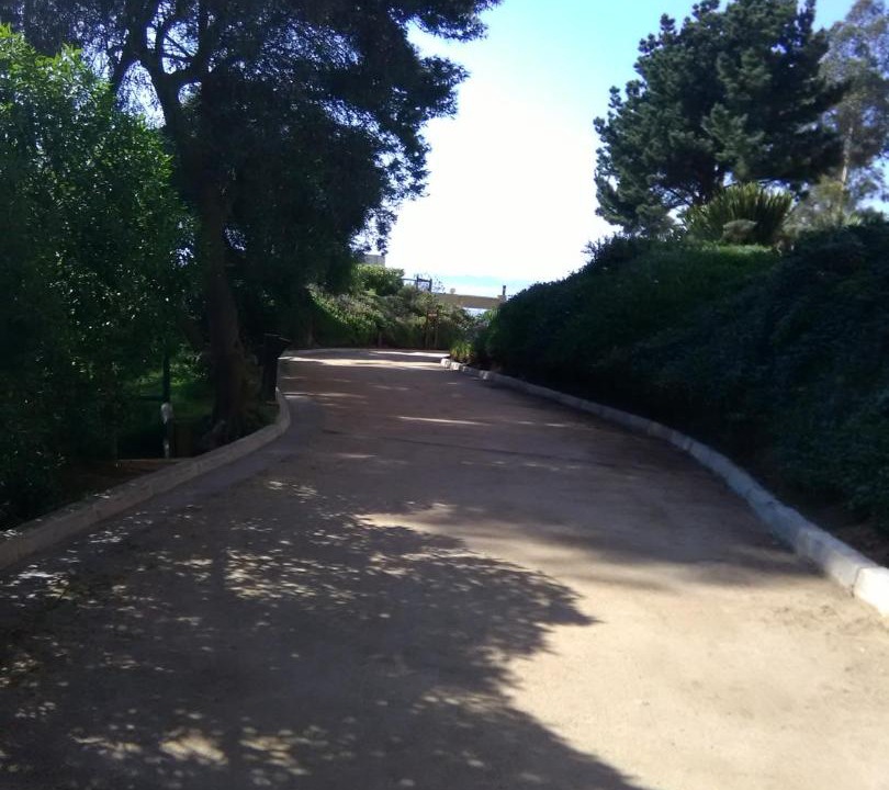 Photo of Others in Caleta Horcon