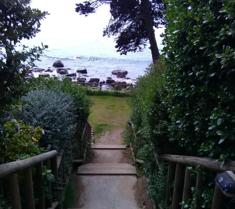 Photo of Others in Caleta Horcon