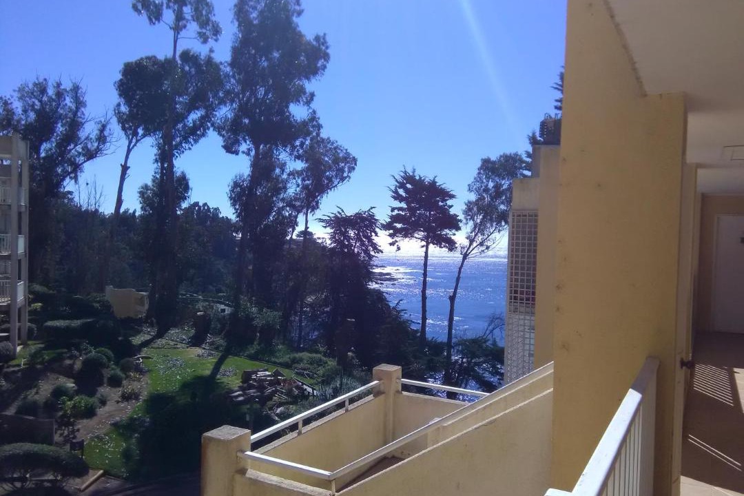 Photo of Others in Caleta Horcon