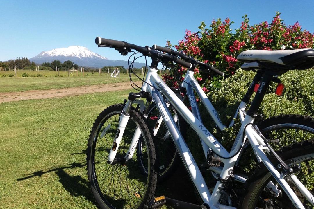 Photo of Others in Puerto Varas