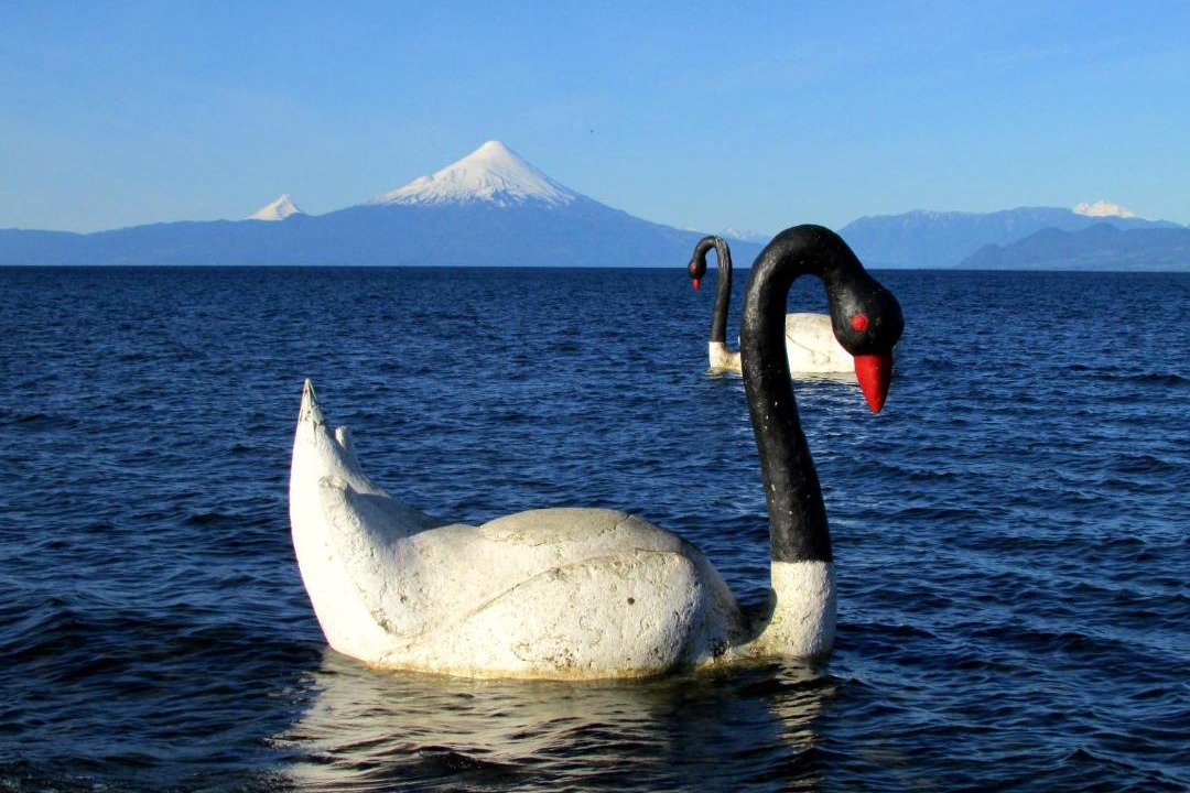 Photo of Others in Llanquihue