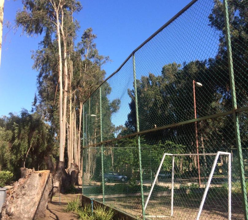 Photo of Outdoor in Caleta Horcon