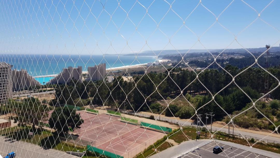Photo of Others in Algarrobo