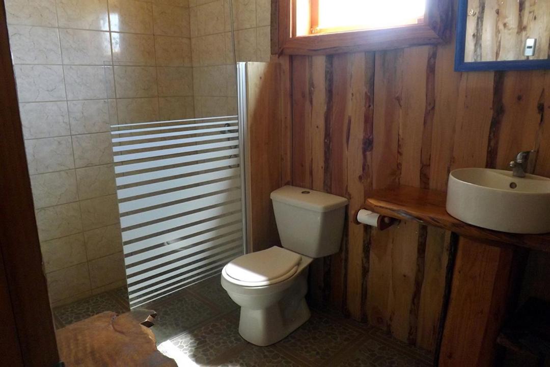 Photo of Bathroom in Araucania Region