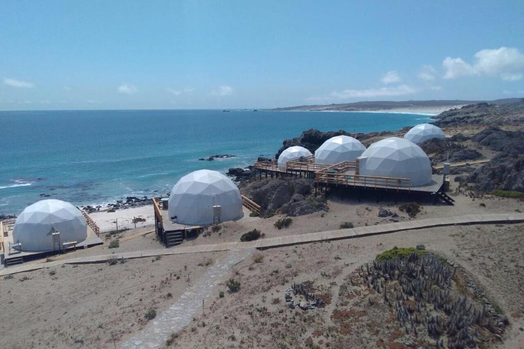 Photo of Others in Punta de Choros