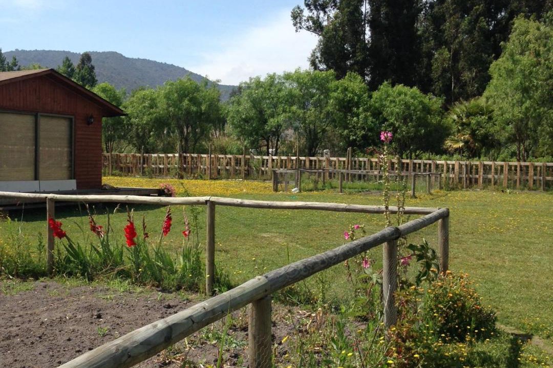 Photo of Others in San Francisco de Mostazal