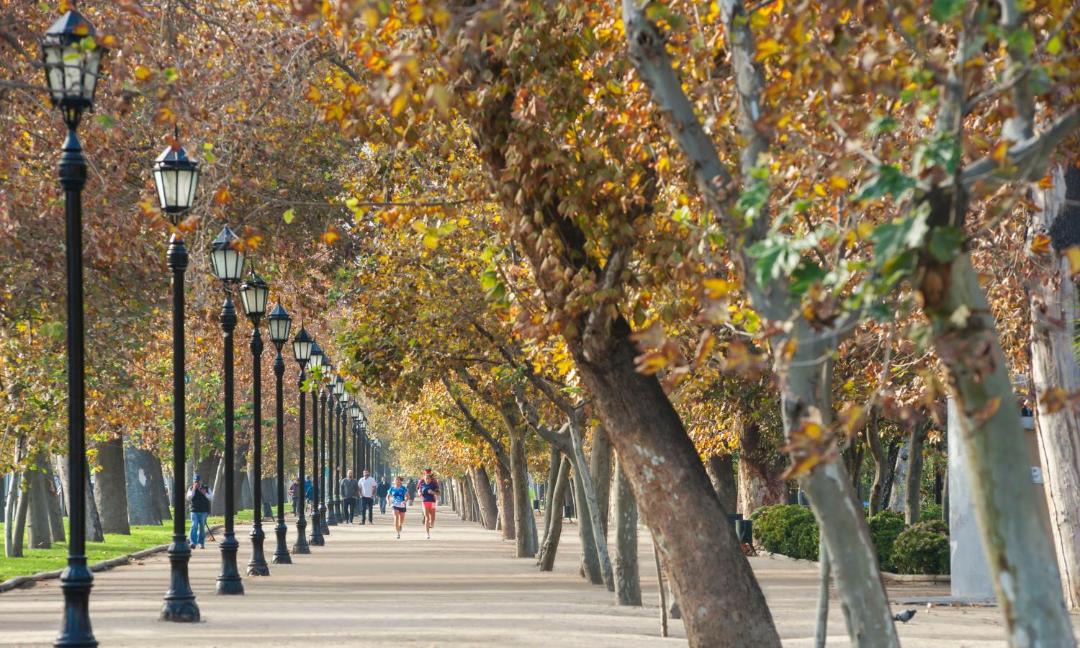 Photo of Others in Lastarria