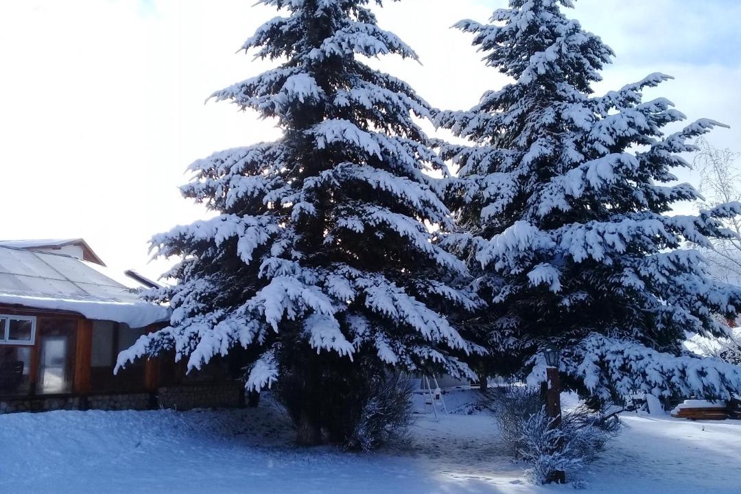Photo of Others in Esquel