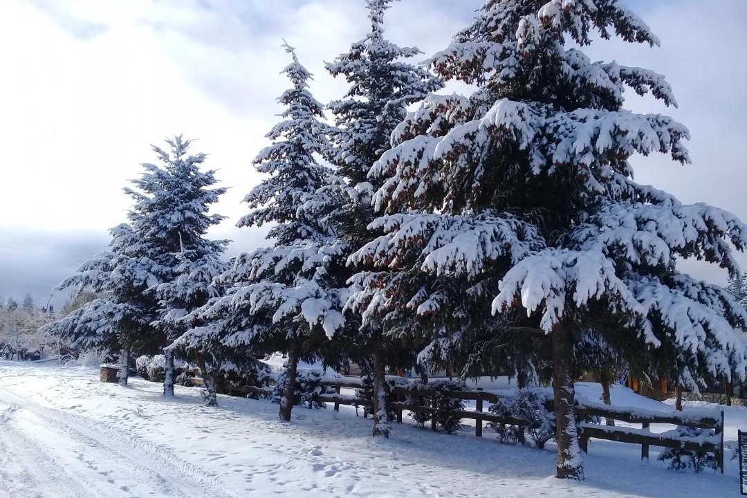 Photo of Others in Esquel