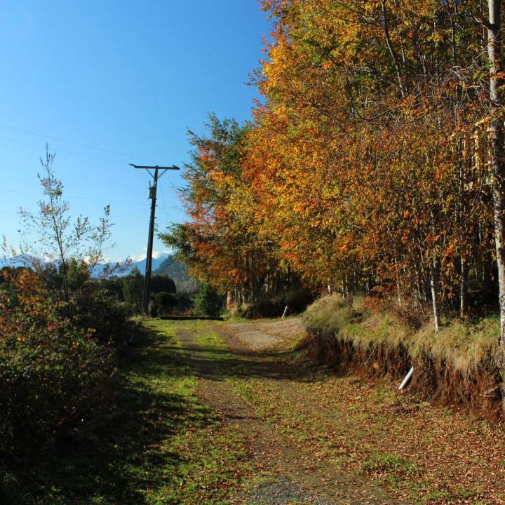 Photo of Others in Llifen
