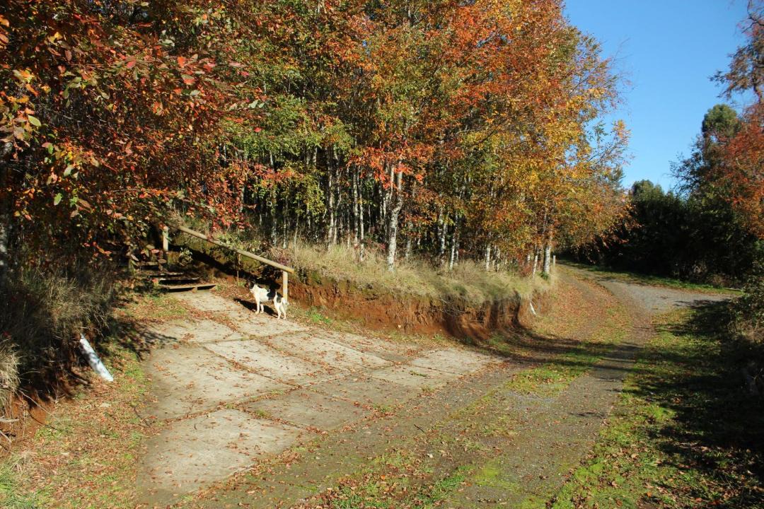 Photo of Others in Llifen