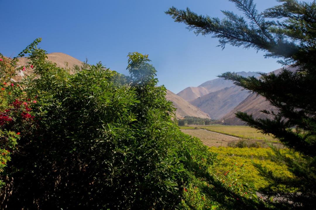 Photo of Others in Monte Grande