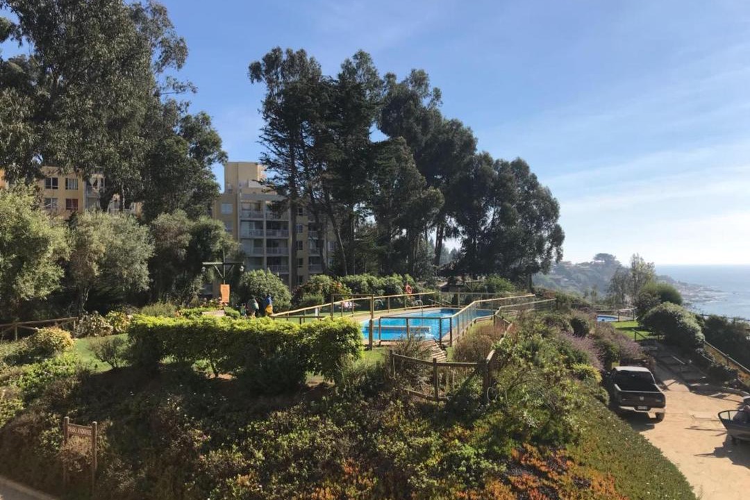Photo of Outdoor in Caleta Horcon