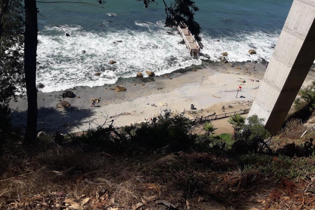 Photo of Others in Caleta Horcon