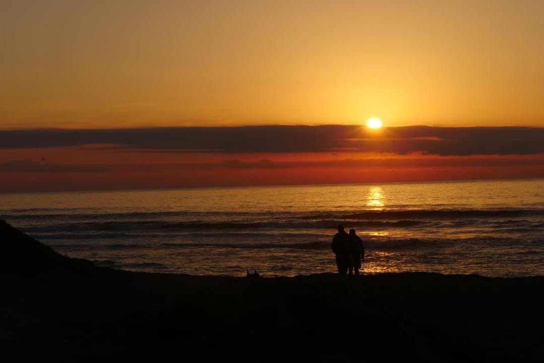 Photo of Human In Picture in Navidad