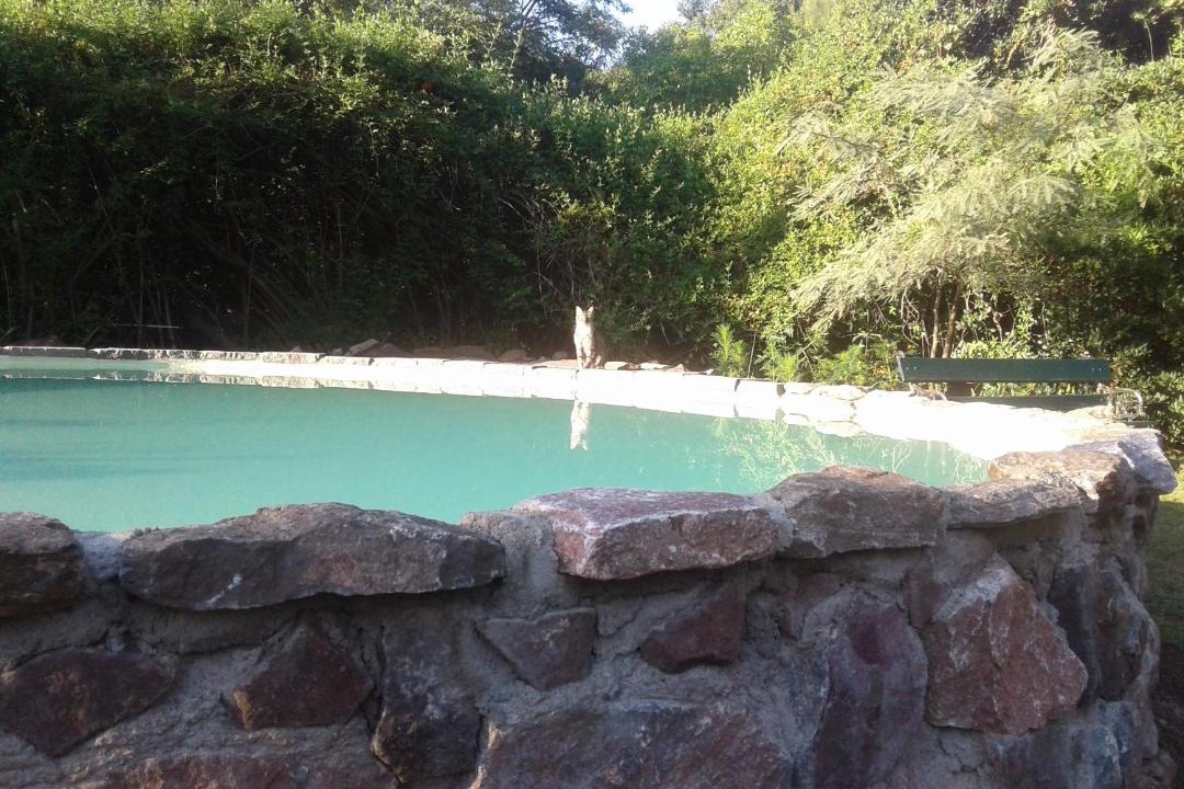 Photo of Others in Villa Del Dique