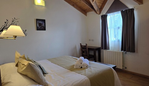 Basic Quadruple Room