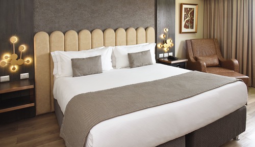 Room, 1 King Bed, City View