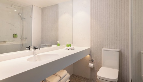 Standard Room, 1 King Bed, Mountain View (Shower Combination)